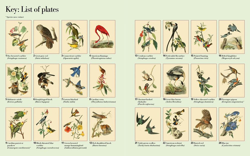 The Audubon Birds Coloring Book