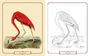 The Audubon Birds Coloring Book