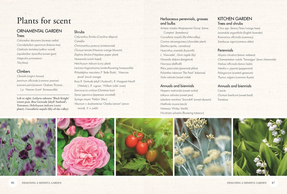 RHS Gardening for Mindfulness (new edition)