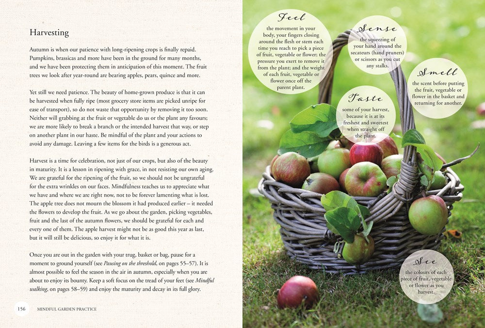 RHS Gardening for Mindfulness (new edition)