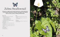 Crocheted Bees, Bugs & Butterflies