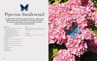 Crocheted Bees, Bugs & Butterflies