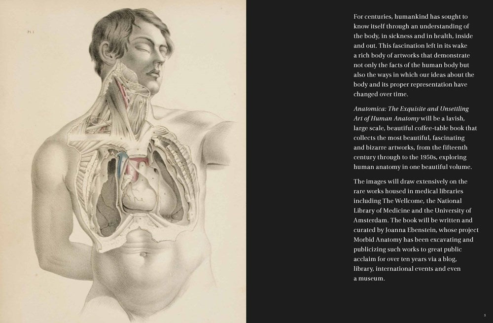 Anatomica