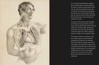Anatomica