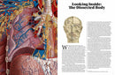 Anatomica