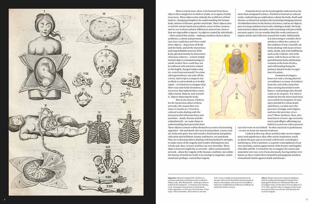 Anatomica