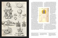 Anatomica