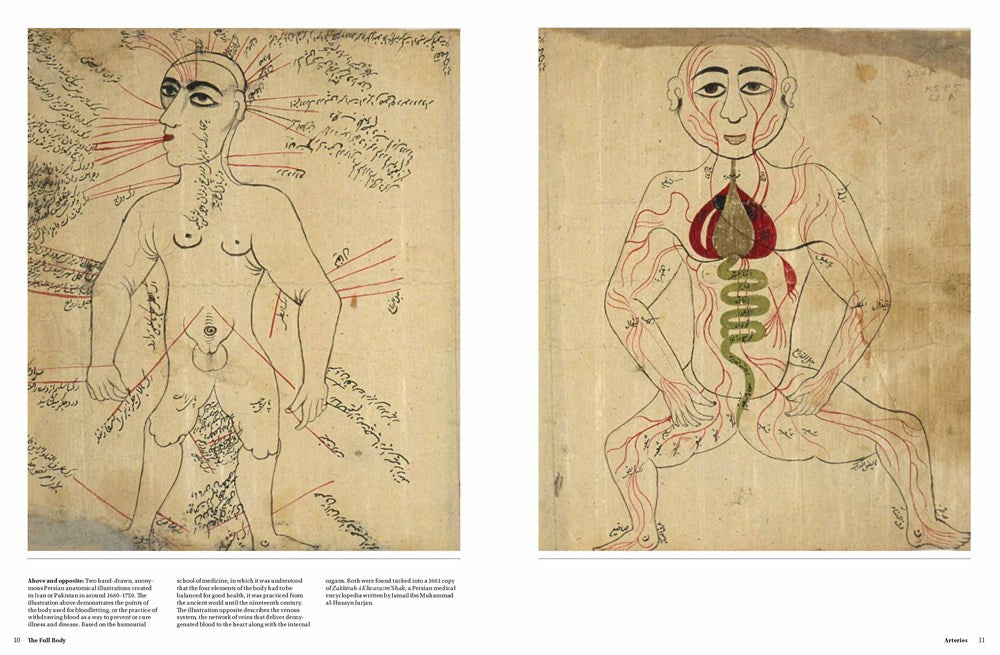 Anatomica