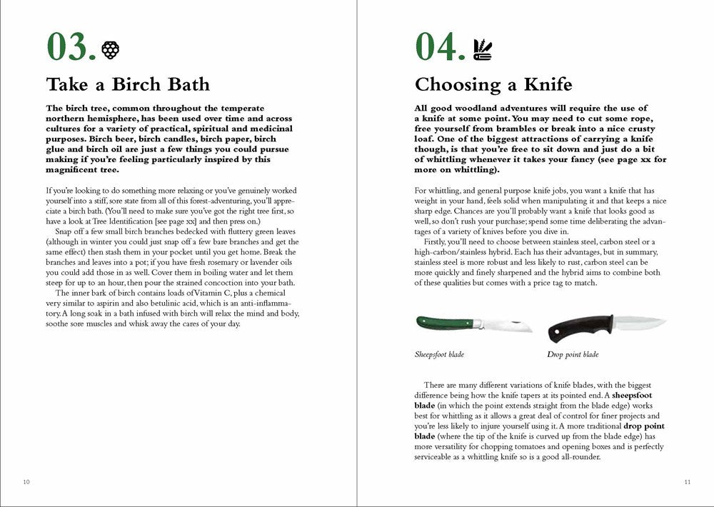 100 Things to do in a Forest