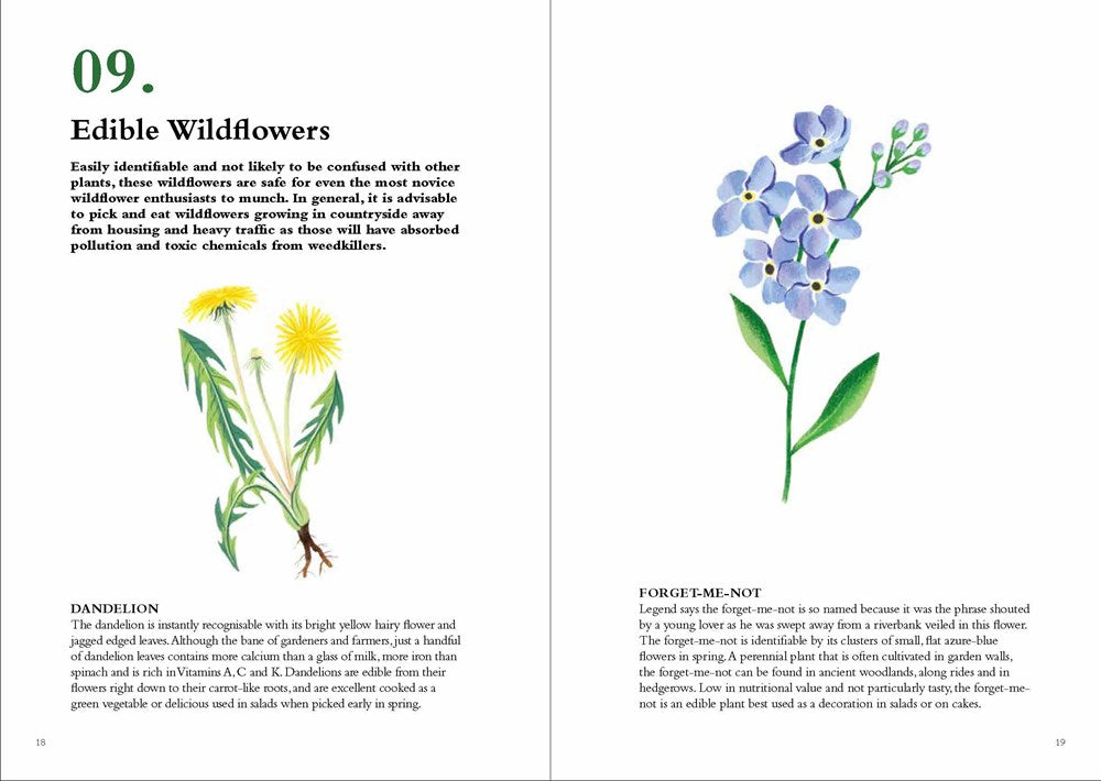 100 Things to do in a Forest