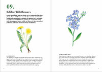 100 Things to do in a Forest