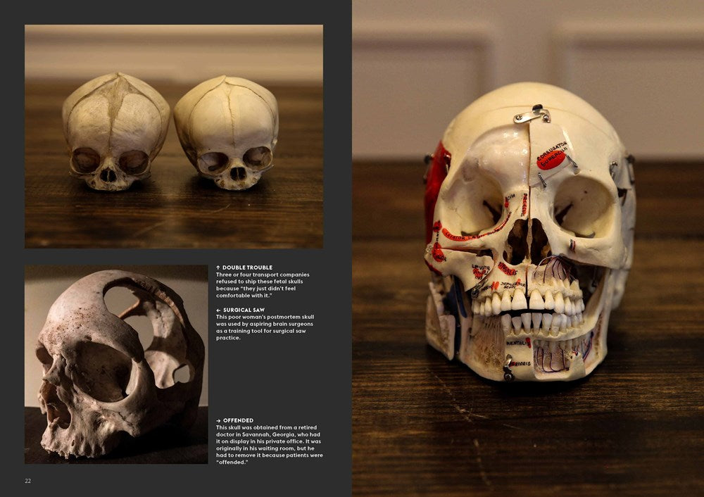 Skulls