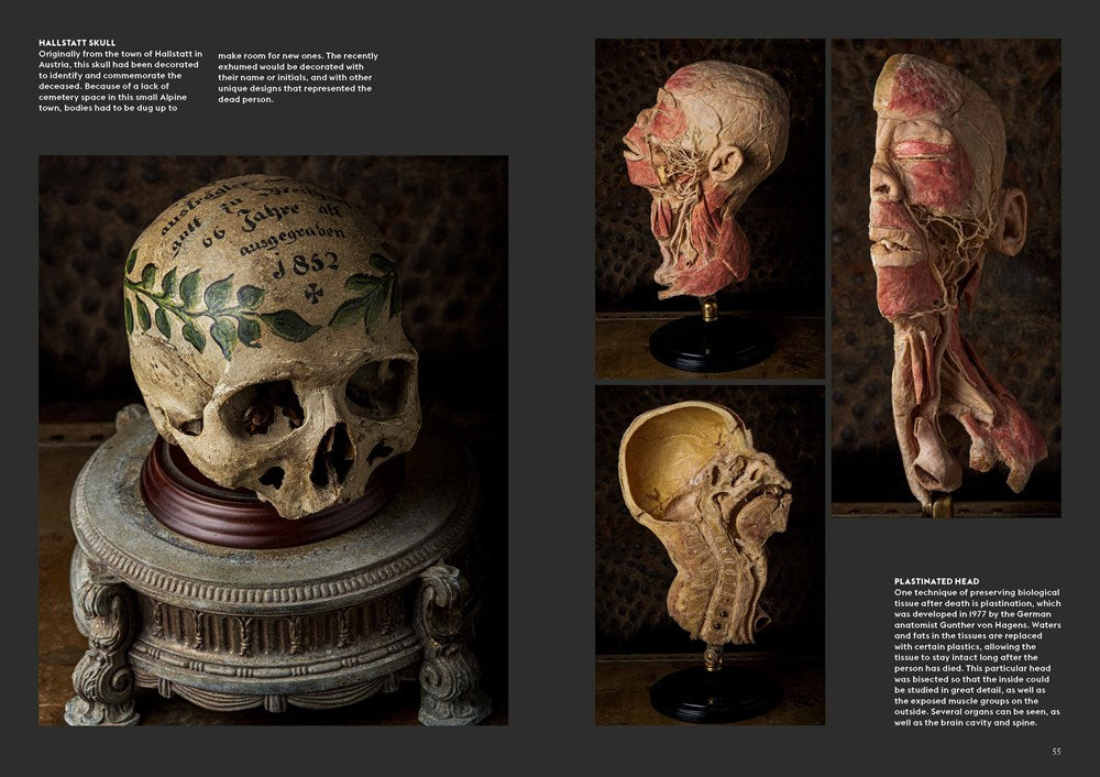 Skulls