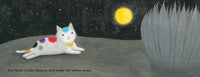 Cat's Colors
