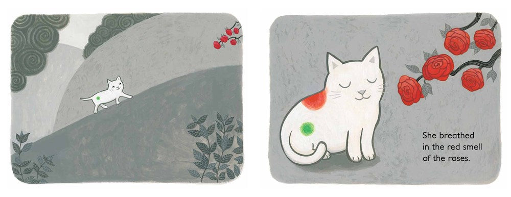 Cat's Colors