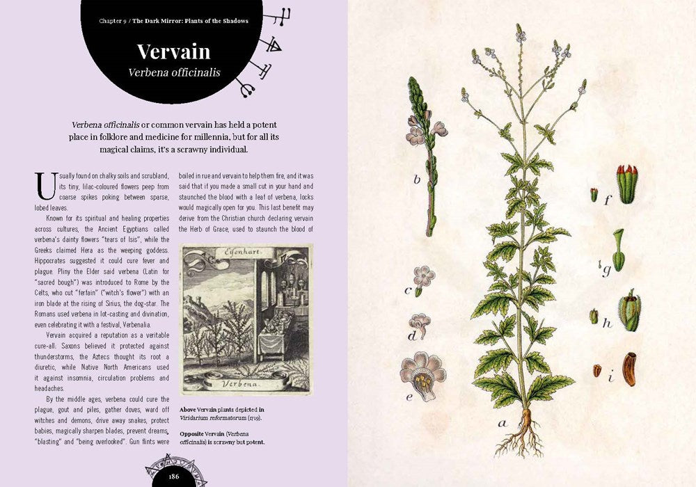 Kew: The Witch's Garden