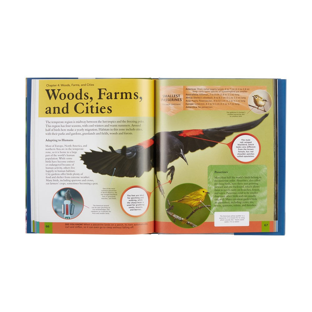 Children's Encyclopedia of Birds