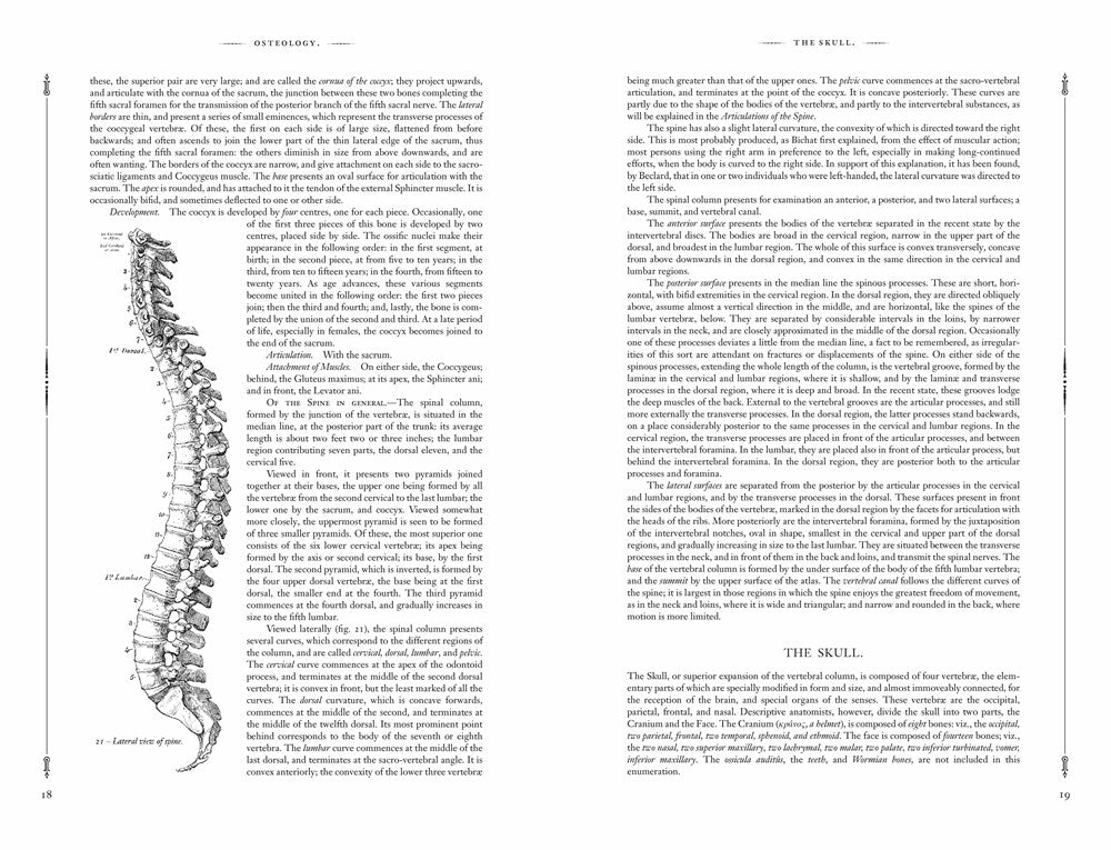 Gray's Anatomy