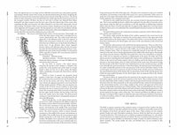 Gray's Anatomy