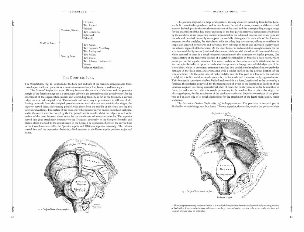 Gray's Anatomy