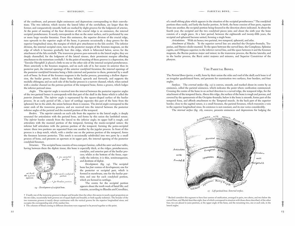 Gray's Anatomy