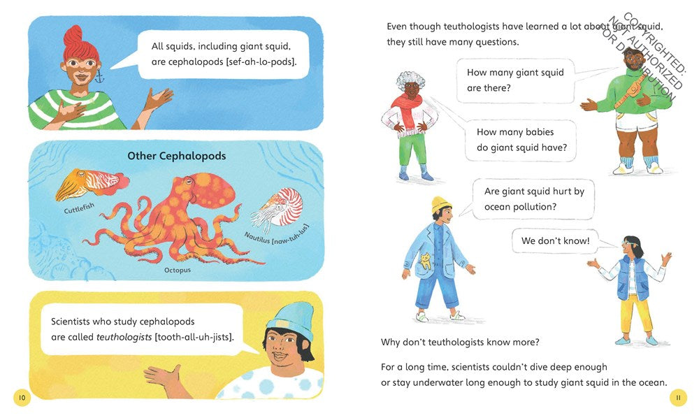Search for a Giant Squid