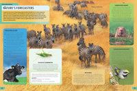 Lonely Planet Kids The Weather Book
