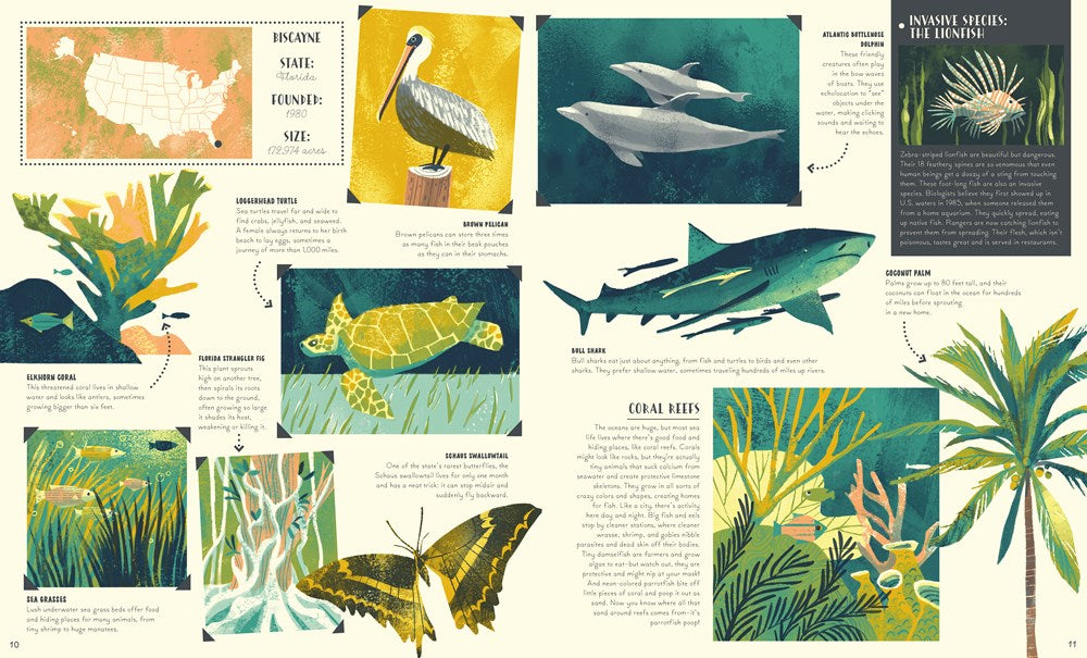 National Parks of the USA