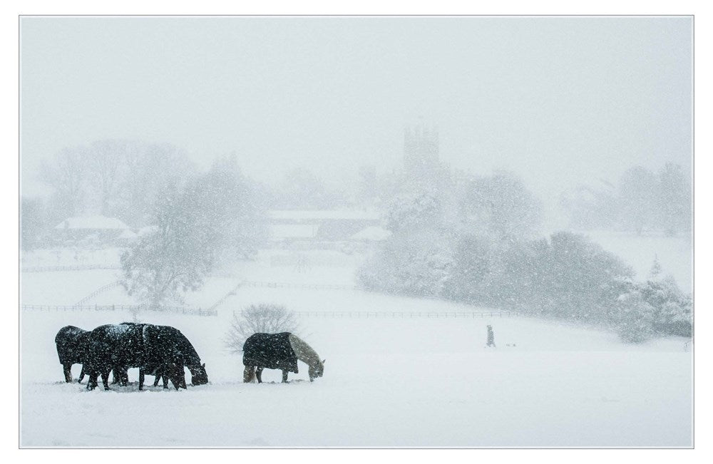 Christmas at Highclere