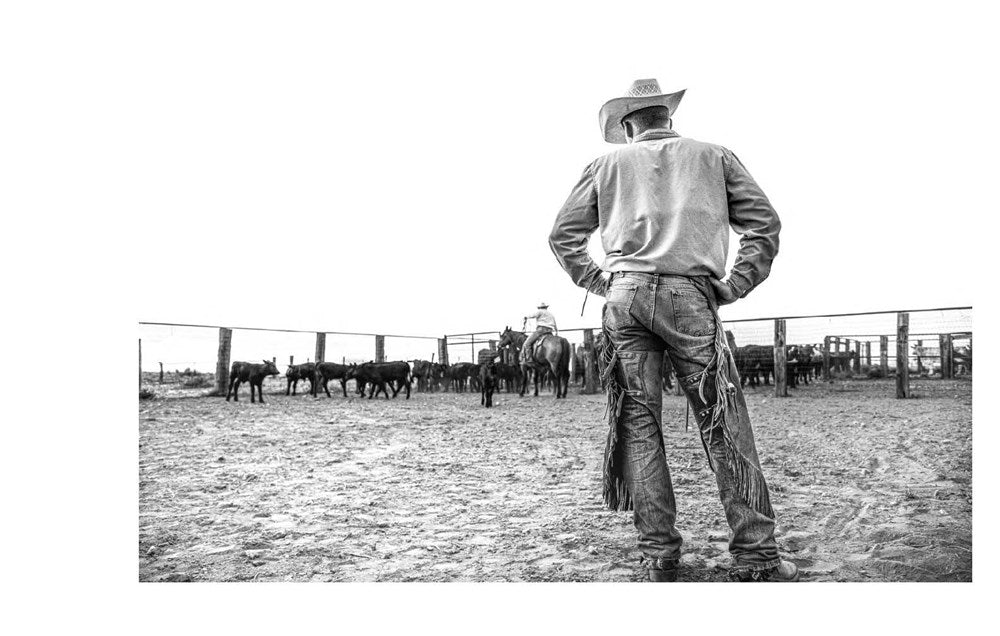 American Cowboys