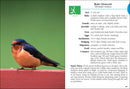 Birds of Colorado Field Guide