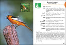 Birds of Colorado Field Guide