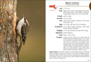 Birds of Massachusetts Field Guide
