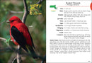 Birds of Massachusetts Field Guide