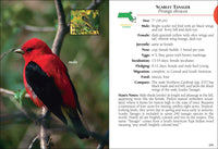 Birds of Massachusetts Field Guide