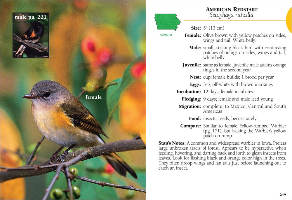 Birds of Iowa Field Guide