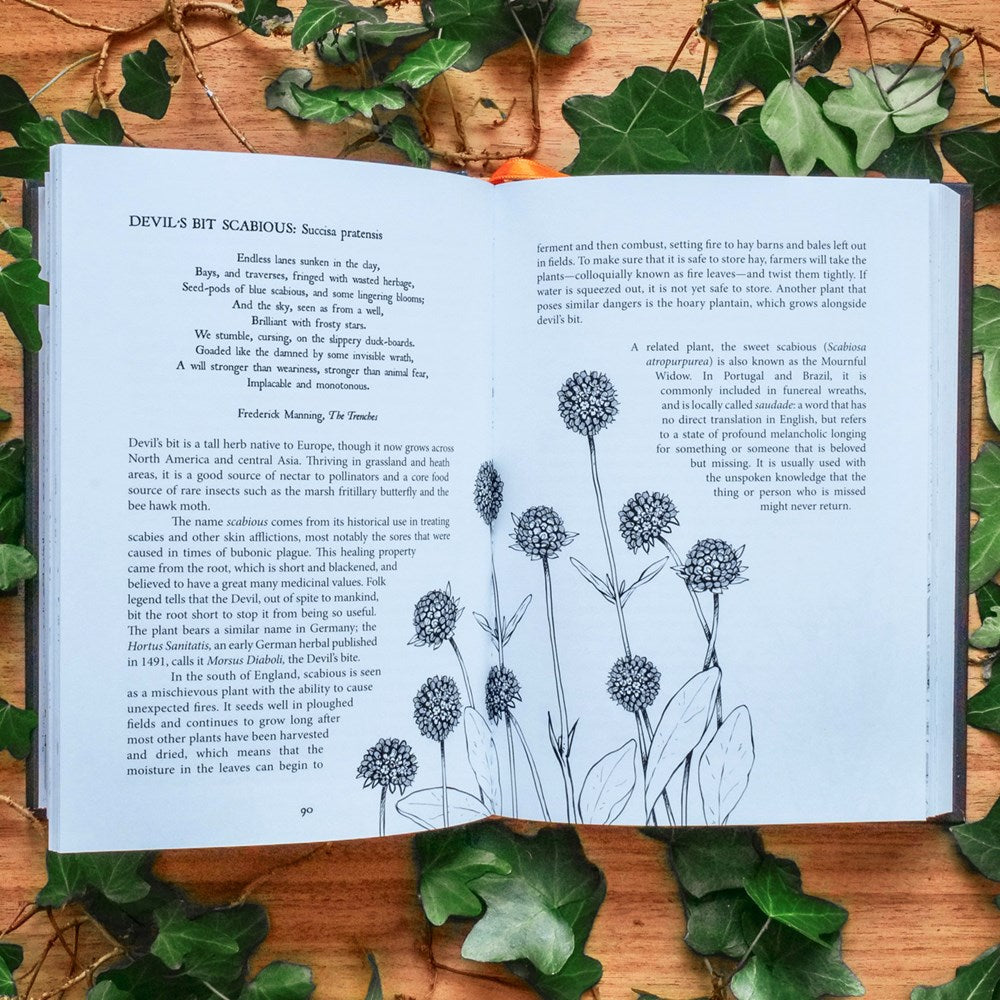 Botanical Curses and Poisons: The Shadow-Lives of Plants