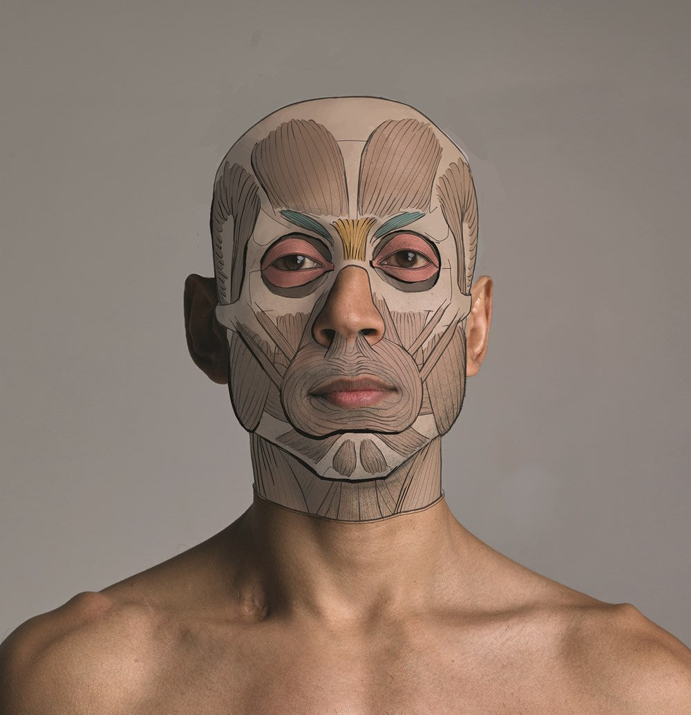 Anatomy for Artists