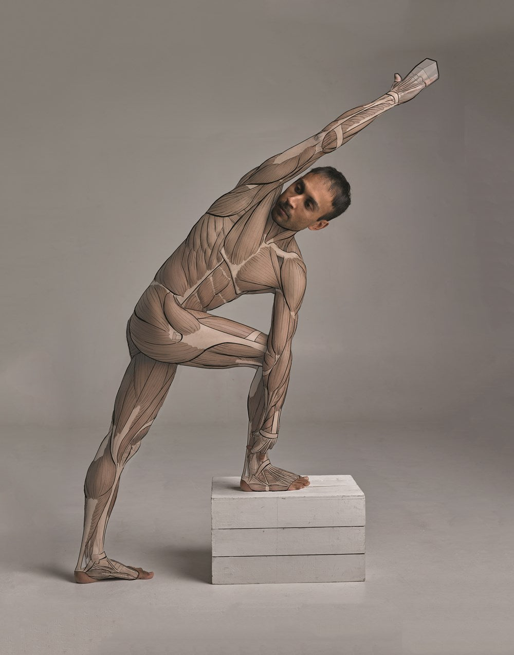 Anatomy for Artists