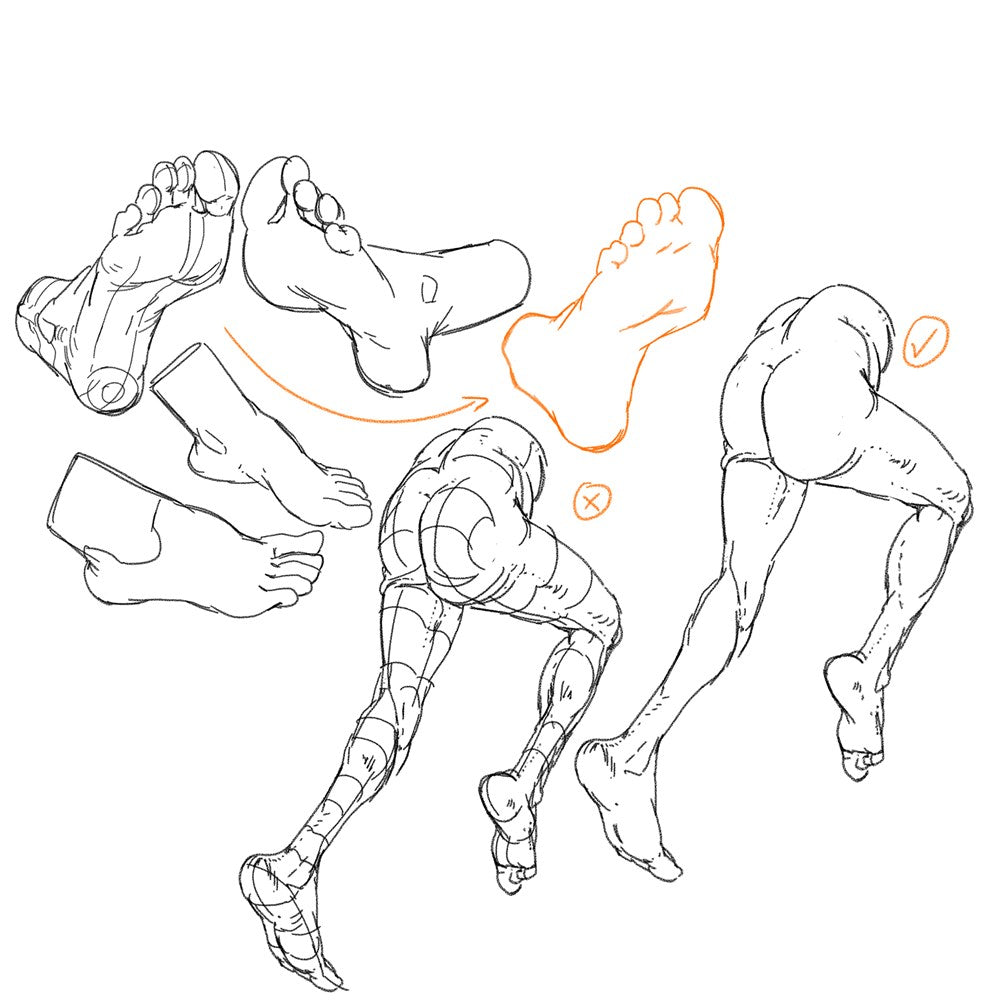 Anatomy for Artists: Drawing Form & Pose : The ultimate guide to drawing anatomy in perspective and pose with tomfoxdraws