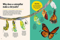 Britannica's First Big Book of Why: Why can't penguins fly? Why do we brush our teeth? Why does popcorn pop? The ultimate book of answers for kids who need to know WHY!