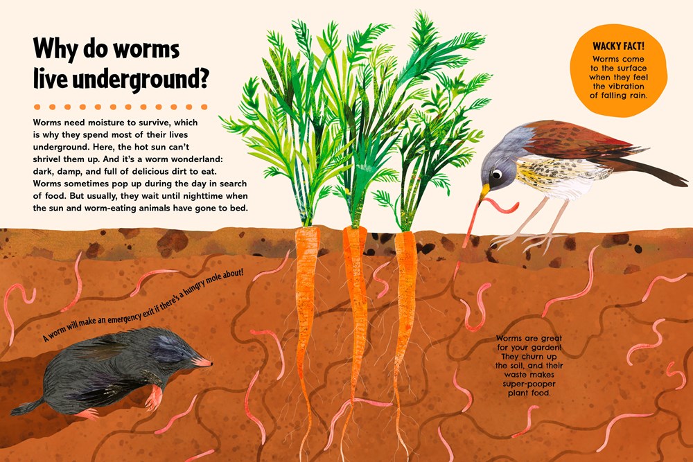 Britannica's First Big Book of Why: Why can't penguins fly? Why do we brush our teeth? Why does popcorn pop? The ultimate book of answers for kids who need to know WHY!