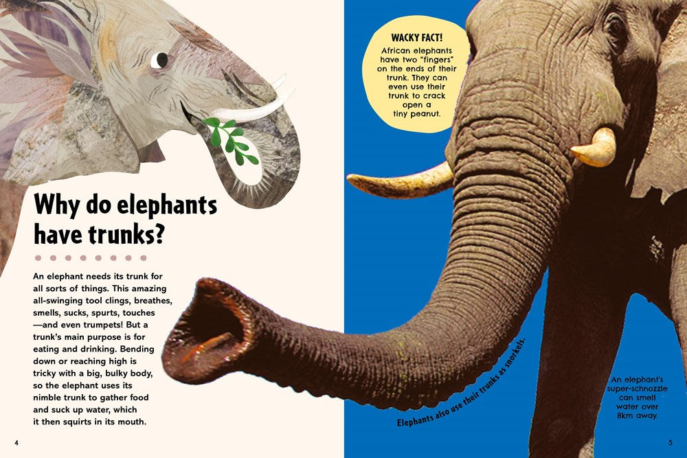 Britannica's First Big Book of Why: Why can't penguins fly? Why do we brush our teeth? Why does popcorn pop? The ultimate book of answers for kids who need to know WHY!