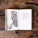 The Healing Power of Nature: Vincent van Gogh