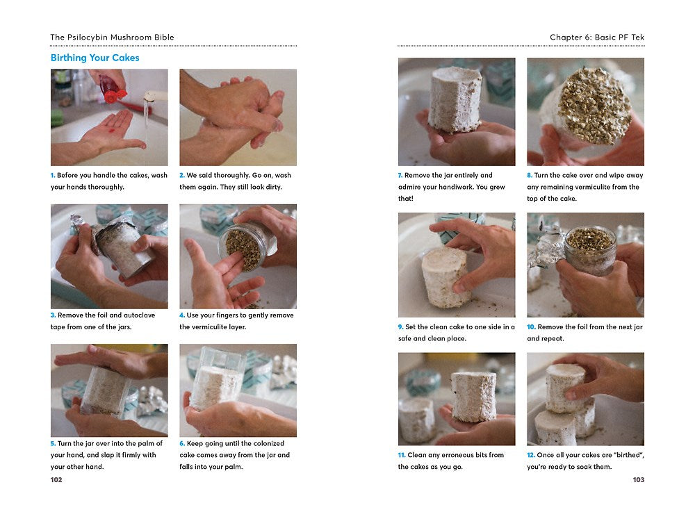 The Psilocybin Mushroom Bible: The Definitive Guide to Growing and Using Magic Mushrooms