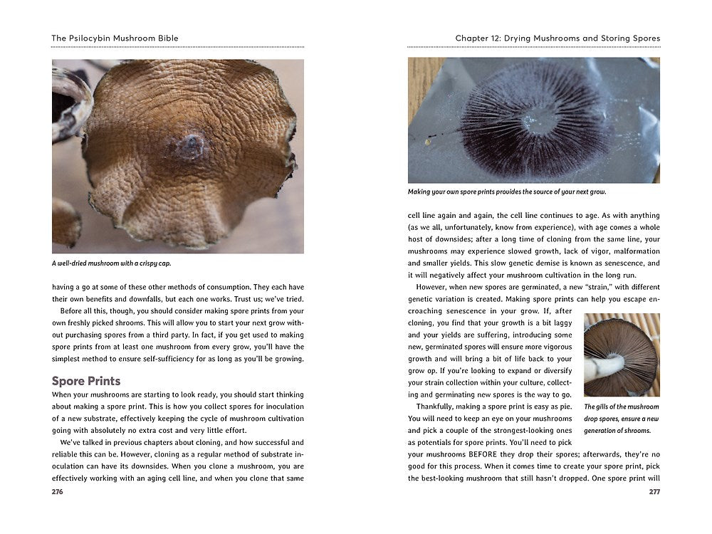 The Psilocybin Mushroom Bible: The Definitive Guide to Growing and Using Magic Mushrooms