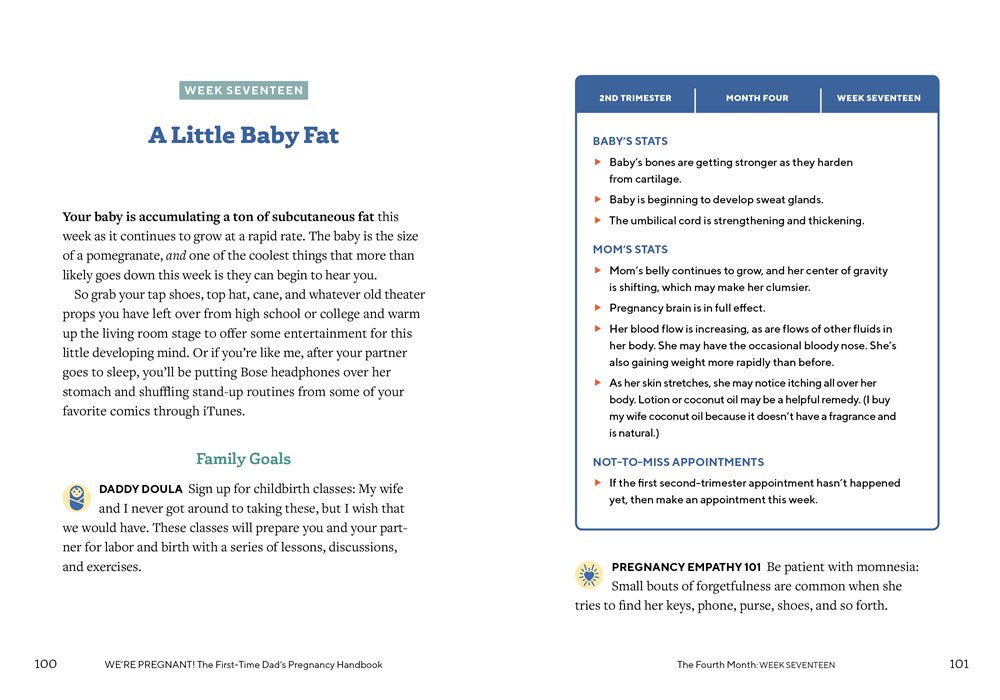 We're Pregnant! The First Time Dad's Pregnancy Handbook