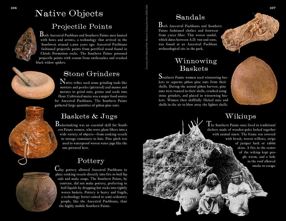 Zion: The Complete Guide