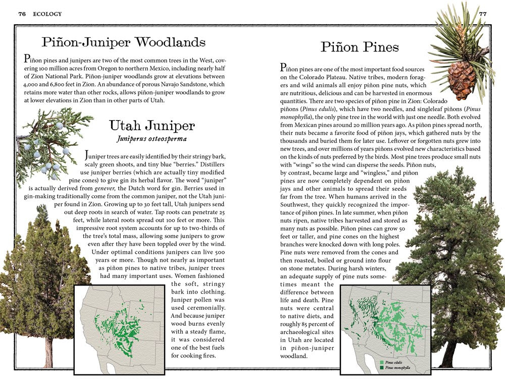 Zion: The Complete Guide
