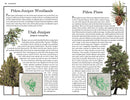 Zion: The Complete Guide